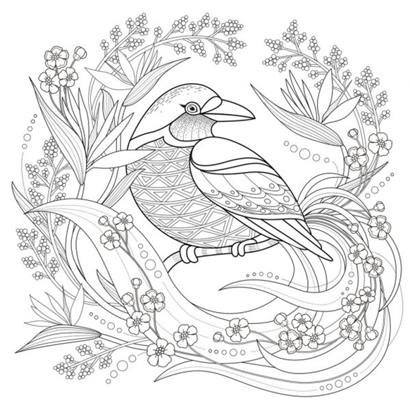This image has been removed. For security reasons, only images from the local domain are allowed. Image removed.